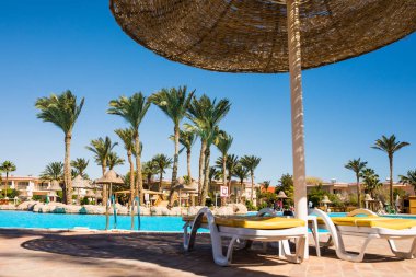 Tropikal resort havuz şezlong, palmiye ağaçları ve okyanus manzaralı. Yaz meslek.