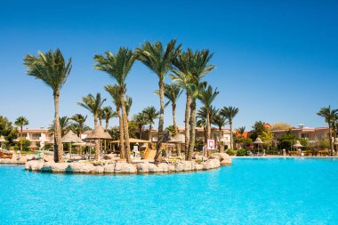 Tropikal resort havuz şezlong, palmiye ağaçları ve okyanus manzaralı. Yaz meslek.