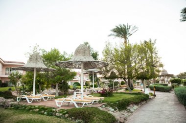 Tatil tatil. plaj şezlong otel park çadırın altında