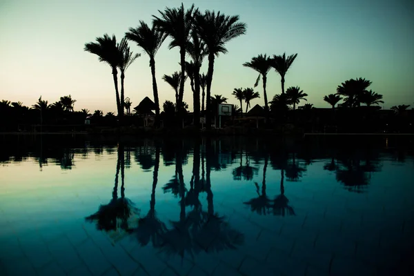 Piscina com palmeiras perto do oceano durante um belo pôr do sol. Vocação verão — Fotografia de Stock