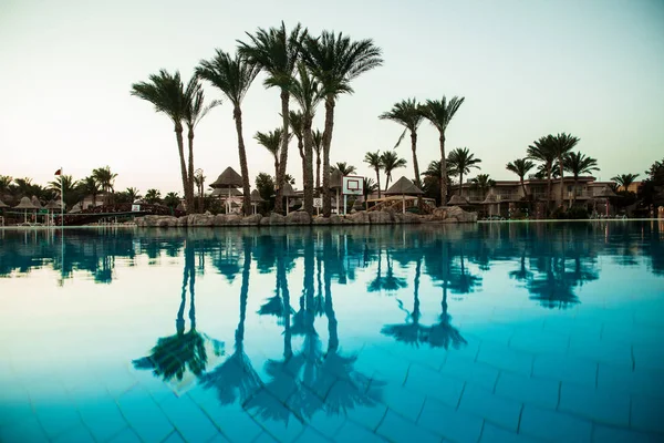 Sziluettjét pálmafa esernyő szék úszómedencés luxus hotel Resort, napkelte idő. Nyári hivatása — Stock Fotó