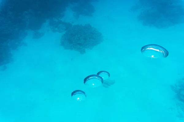 Red sea, Egypt: Air bubbles in the blue water