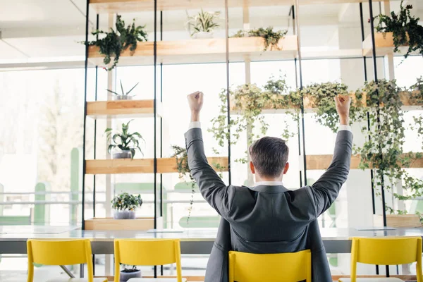 Succesvol enthousiast bedrijf man gelukkig glimlach greep vuist gebaar uitzicht vanaf terug, knappe jonge zakenman met opgeheven handen armen. — Stockfoto