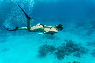 genç kadınların Silhouettes okyanusa dalış ücretsiz