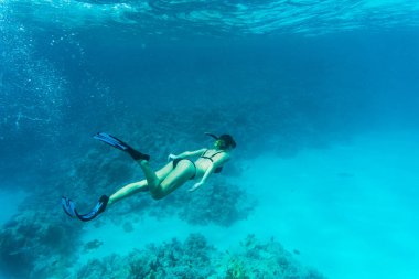 Mercan Denizi arasında yüzme güzel kadın dalgıç