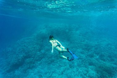 Güzel mercan sualtı hayatı genç freediver kadınla. Boşaltmak için metin
