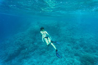 Güzel mercan sualtı hayatı genç freediver kadınla. Boşaltmak için metin