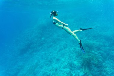Özgür kadın dalgıç sualtı tropikal bir denizde canlı mercan resif üzerinde şnorkel kayma