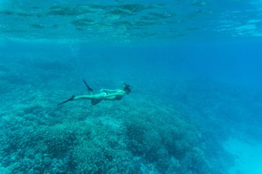 Genç Bayan sualtı tropikal deniz mercan kayalıkları üzerinde yüzmek