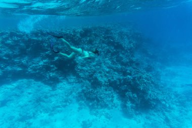 Bir nefes tutun dalış ve mavi şeffaf deniz mercan resif üzerinde Durultma genç kadın