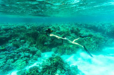 Güzel kadın snorkeler mercan resif deniz suyundaki araştırıyor