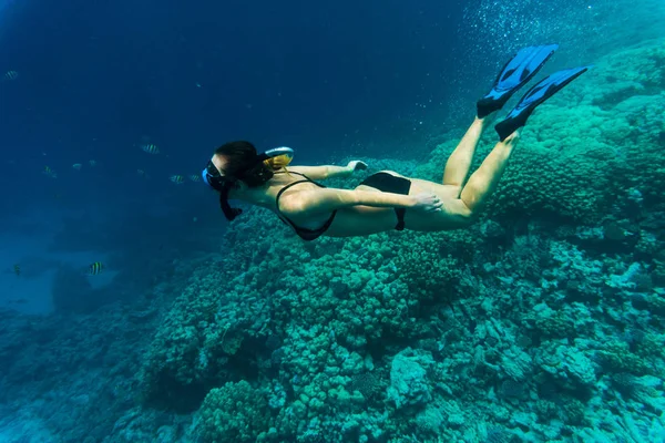 Giovane ragazza a fare snorkeling nell'acqua tropicale. Viaggiare, concetto di stile di vita attivo . — Foto Stock