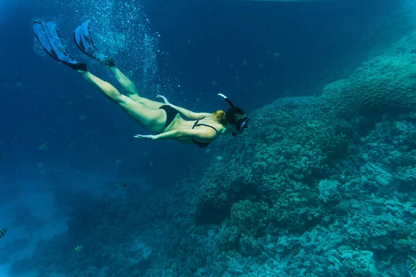 Giovane ragazza a fare snorkeling nell'acqua tropicale. Viaggiare, concetto di stile di vita attivo . — Foto Stock