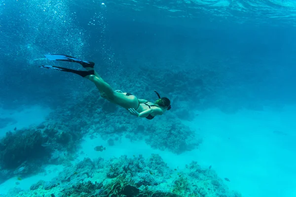 호흡에 생생한 산호초에 활공 하는 젊은 아가씨의 수 중 샷 바다에서 개최 — 스톡 사진