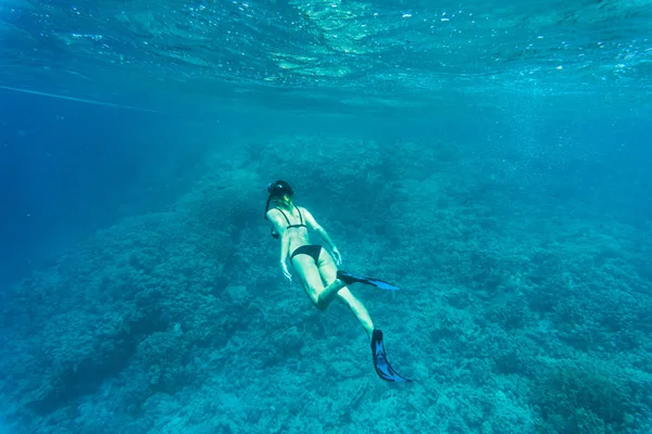 Beautiful coral reef with young freediver woman, underwater life. Copyspace for text — Stock Photo, Image