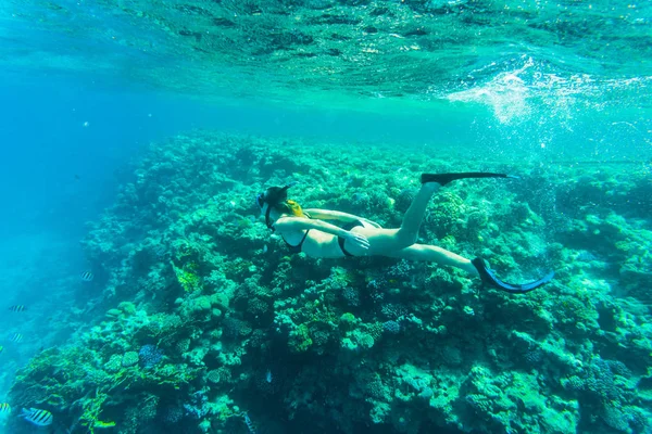 Güzel mercan sualtı hayatı genç freediver kadınla. Boşaltmak için metin — Stok fotoğraf