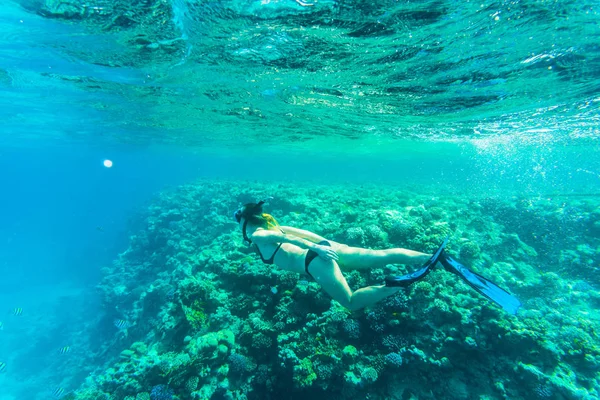 Prachtig koraalrif met jonge freediver vrouw, onderwater leven. Copyspace voor tekst — Stockfoto