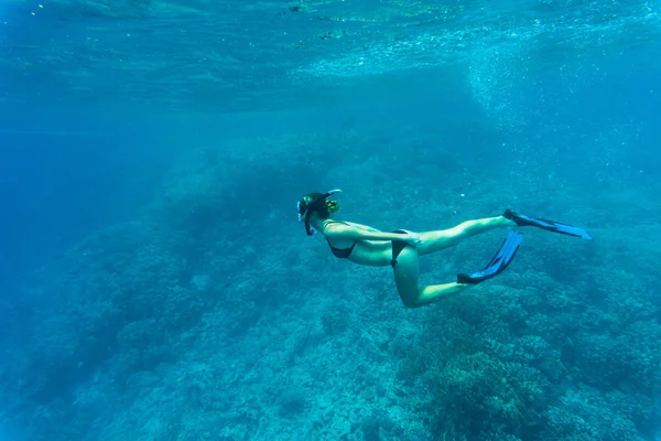 Donna libera subacquea che fa snorkeling sott'acqua su una vivace barriera corallina in un mare tropicale — Foto Stock