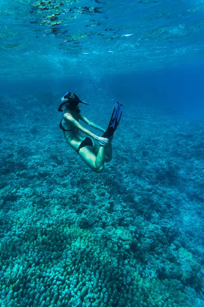 Underwater image of a young lady snorkeling and diving in a tropical sea with hands on legs. Beautiful woman body under water. — Stock Photo, Image