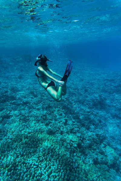 Image sous-marine d'une jeune femme plongeant en apnée et plongeant dans une mer tropicale les mains sur les jambes. Belle corps de femme sous l'eau . — Photo