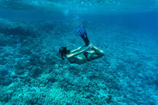 Underwater image of a young lady snorkeling and diving in a tropical sea with hands on legs. Beautiful woman body under water. — Stock Photo, Image