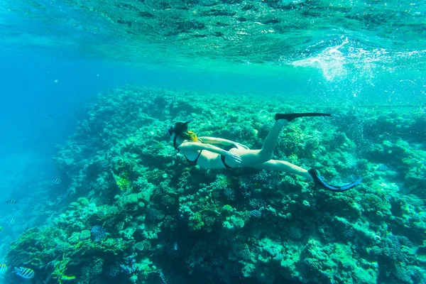 Krásný korálový útes s mladými volný potápěč ženou, podvodní život. Copyspace text Stock Snímky
