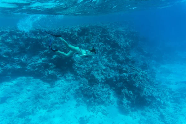 Young woman diving on a breath hold and fining over coral reef in blue transparent sea Royalty Free Stock Images