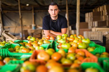 Depolama prepa önce domates üzerinde mutlu organik çiftçi kutuları