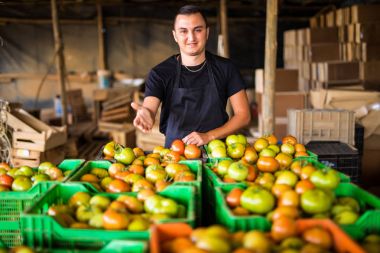 Çapraz eller üzerinde domates kutuları adamla mutlu organik çiftçi 