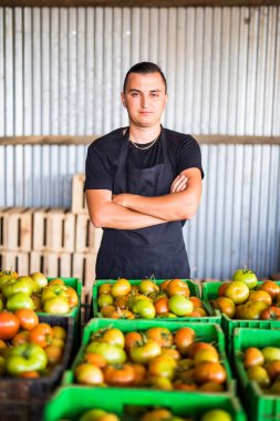Çapraz eller üzerinde domates kutuları hasat ile mutlu bir adam bir 
