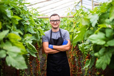 Kendine güvenen adam bahçıvan sera silah ile ayakta bardaklarda geçti