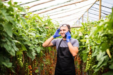 Bir sera domates ile çekici bir çiftçi görünümünü konuşmak 