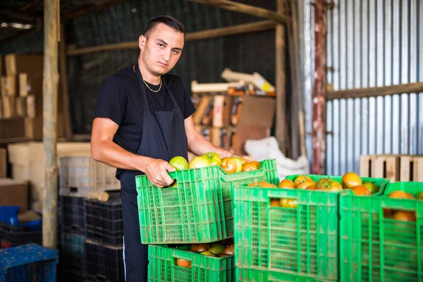Domates kutularında satış önce taşıyan mutlu organik çiftçi 