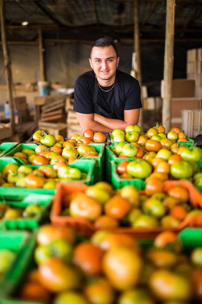 Depolama prepa önce domates üzerinde mutlu organik çiftçi kutuları