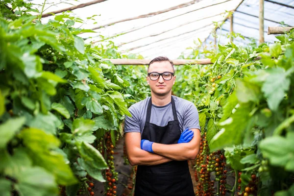 Kendine güvenen adam bahçıvan sera silah ile ayakta bardaklarda geçti