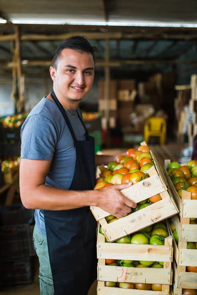 Mutlu çiftçi bir sera domates taşıyan