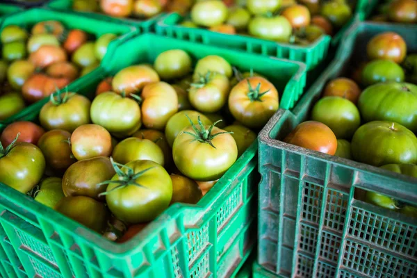 Tomates frescos y saludables almacenados en cajas de plástico —  Fotos de Stock