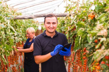 Anne ve oğlu tablet onay online sipariş ile sera içinde kiraz domates hasat kontrol edin. Aile şirketi