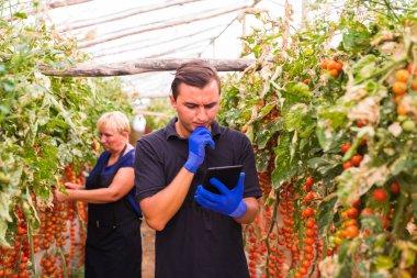 Anne ve oğlu tablet ile online sipariş kiraz domates hasat sera aile işinde kontrol edin