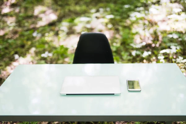Business office desk in green forest. Business concept.