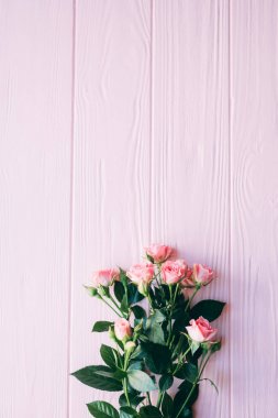 Pembe gül küçük pembe ahşap zemin üzerine