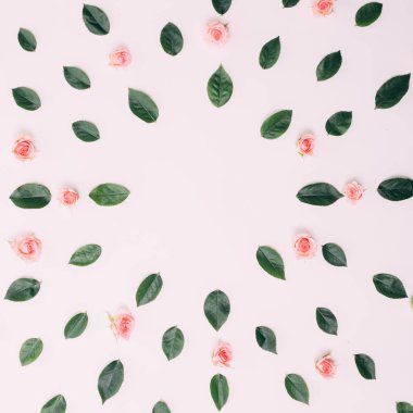 Çiçek kompozisyon. Gül çiçek ve okaliptüs dalları ile çerçeve. Düz yatıyordu, en iyi görünümü.