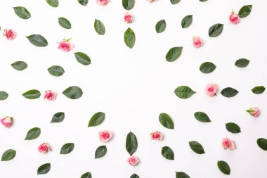 Çiçek kompozisyon. Gül çiçek ve okaliptüs dalları ile çerçeve. Düz yatıyordu, en iyi görünümü.