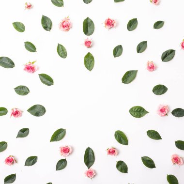 Çiçek kompozisyon. Gül çiçek ve okaliptüs dalları ile çerçeve. Düz yatıyordu, en iyi görünümü.