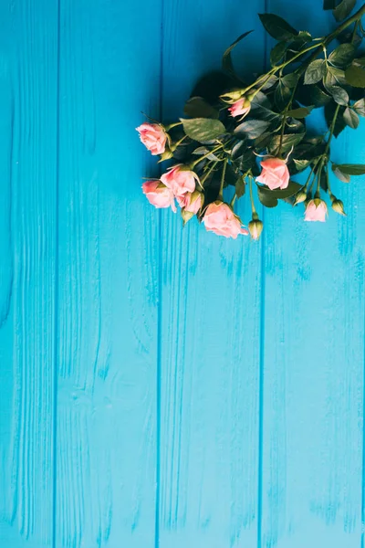 Mavi ahşap arka plan üzerinde güzel pembe güller