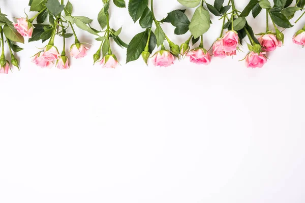 Розовый цветут свежие розы от границ, изолированных на белом фоне — стоковое фото