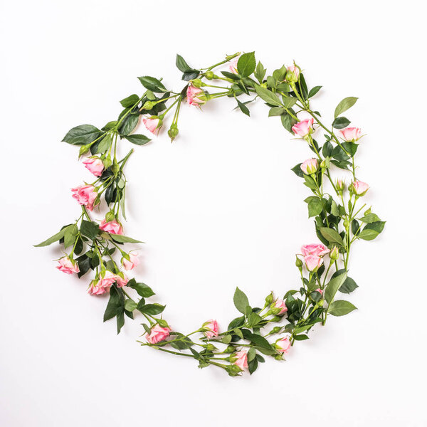 Round frame with pink flower buds, branches and leaves isolated on white background. lay flat, top view