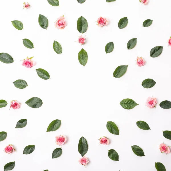 Çiçek kompozisyon. Gül çiçek ve okaliptüs dalları ile çerçeve. Düz yatıyordu, en iyi görünümü.