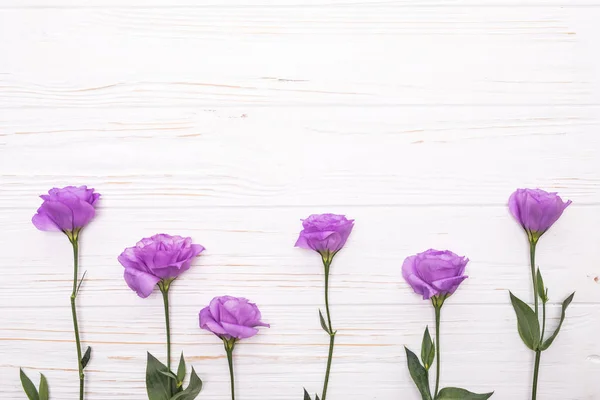 Фиолетовые фиолетовые цветы эустомы плоская рамка — стоковое фото