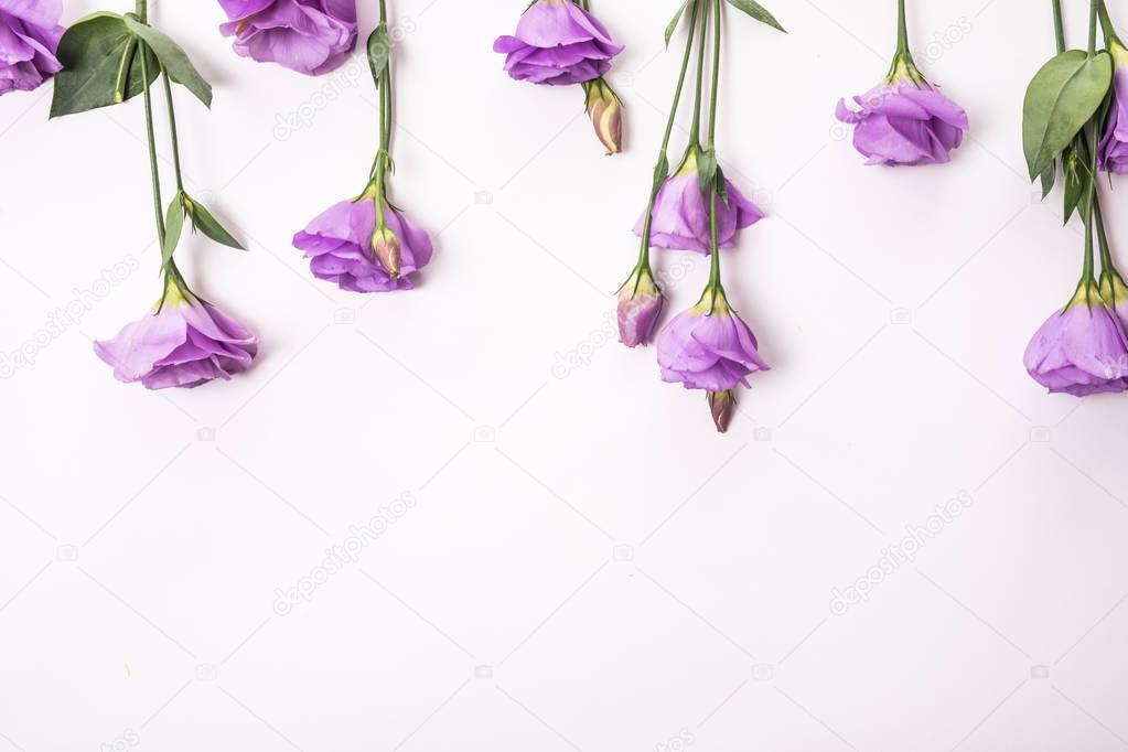 Composition of eustoma flowers isolated on white background